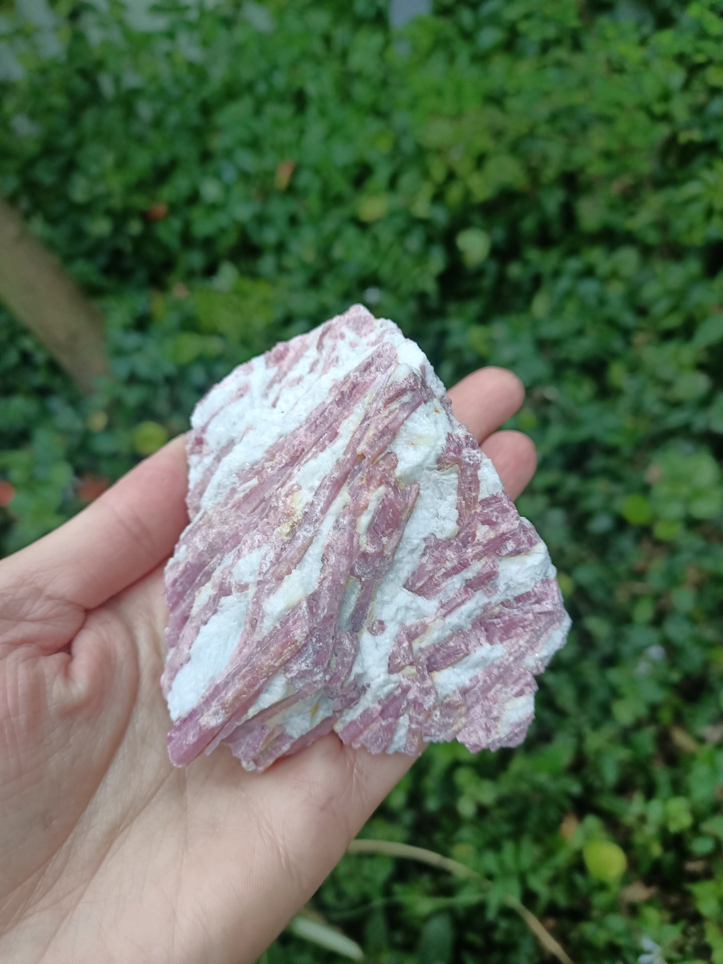 Pink Tourmaline Rough # 5