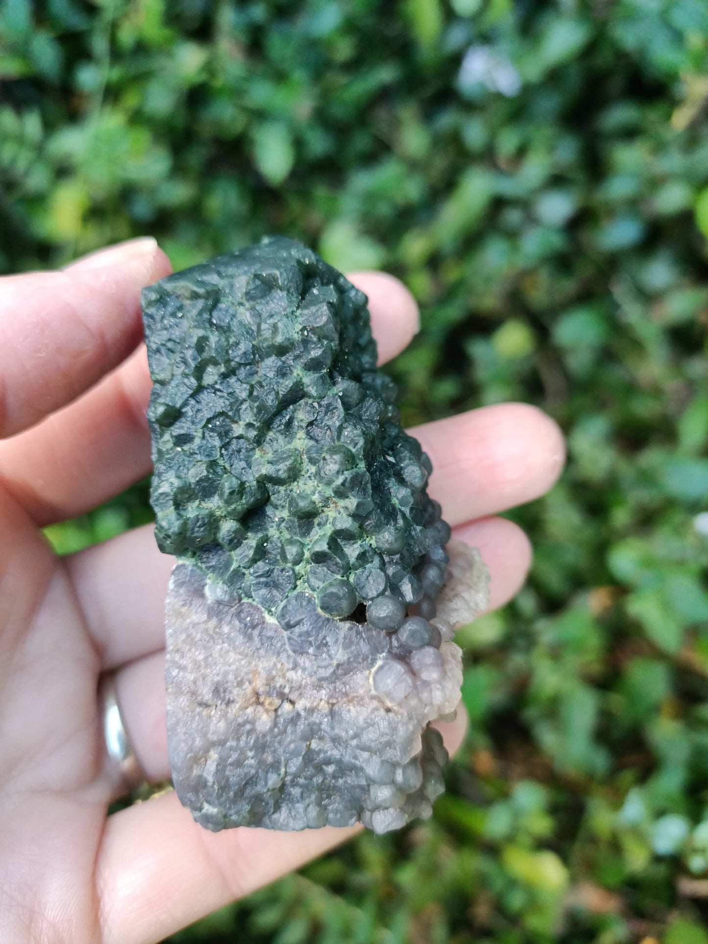 Grape Agate Point # 2