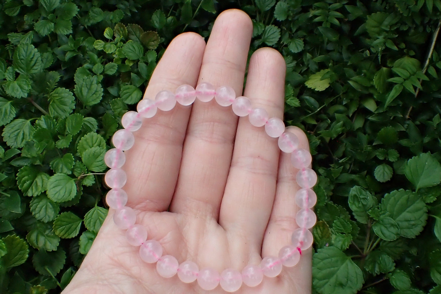 Bracelet - Rose Quartz